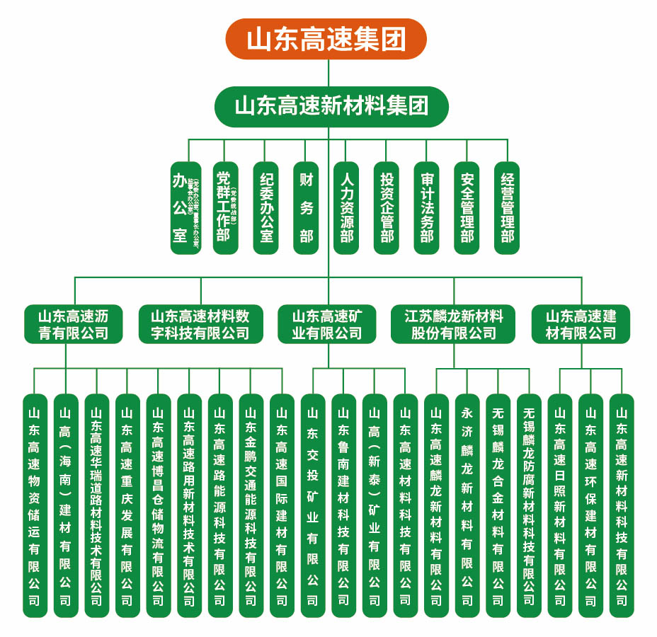 山東高速新材料集團有限公司組織架構圖